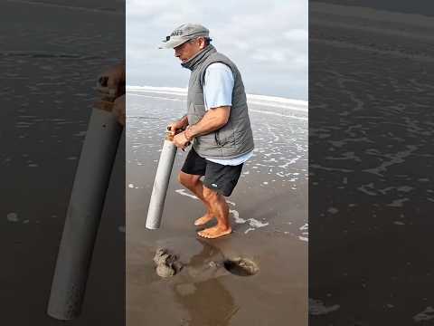 Así se descubre carnada bajo la arena: truco que todo pescador debe conocer