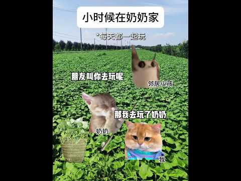 猫の動画サムネイル - 小时候在奶奶家#有趣 #猫meme #猫meme剧场 #内容过于真实  #故事 #貓 #猫猫meme小剧场 #喵不可言