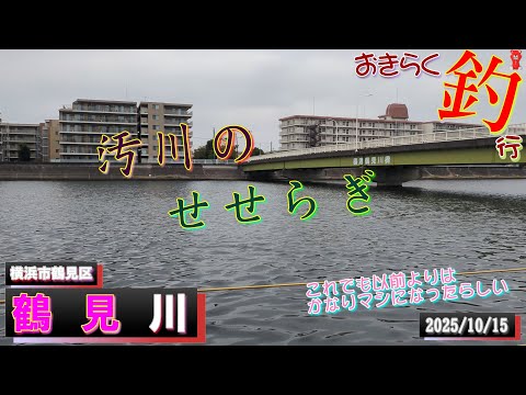 【#横浜・#鶴見川】#おきらく釣行【2025/10/15】