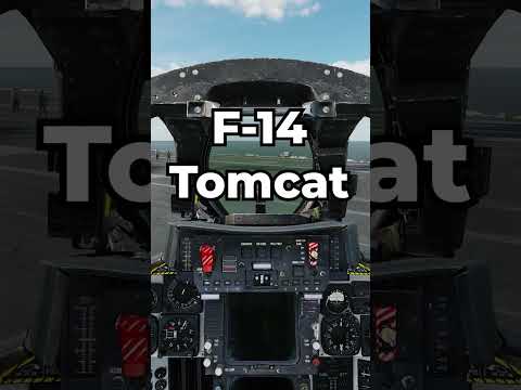 F-14 Tomcat Startup in 60 Seconds