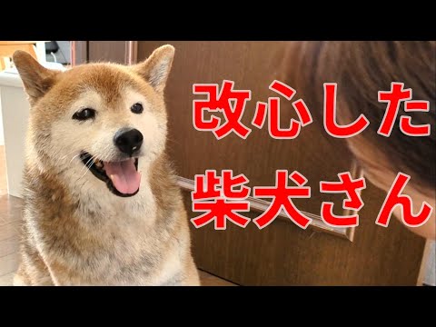 【1036】ボール遊びも出来ますよ！ サムネイル