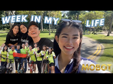 Week In Life of Intern at Mobot