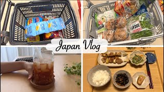 shopping at Daiso, make peach tea, and Yakitori for dinner | housewife life in japan