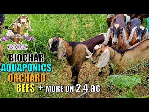 Permaculture Farm  on 2.4 acres - Aquaponics, Biochar, Self Sufficient Solar + More