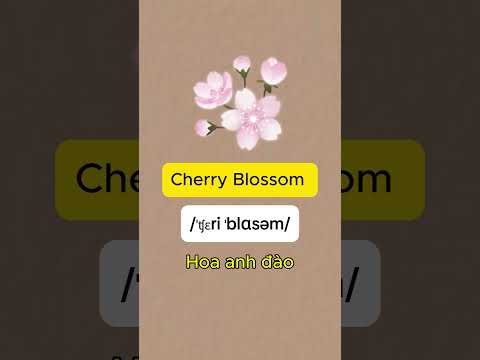 Tự học từ vựng theo chủ đề hoa #shadowingenglish #vocabulary  #tienganhchotre #hoctienganh