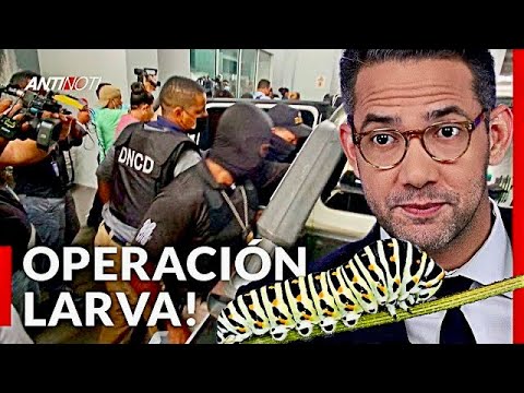 12 Detenidos En La Operación Larva | Antinoti