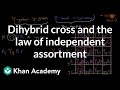 Mendelian Genetics Concepts