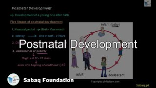 Postnatal Development