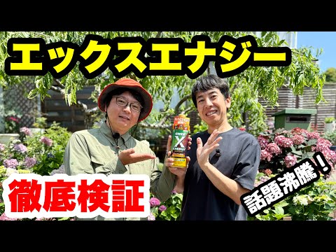 ■話題の【エックスエナジー】を徹底検証!