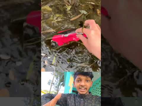 কিভাবে বোকা বানাতে হয় দেখেন😱🤣 আপনিও চাইলে এটা ফলো করতে পারেন😁 #viralvideo #funny #shorts #fyp