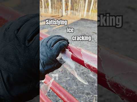 #fyp #ice #satisfying #horses