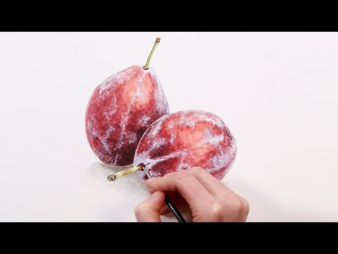 How to paint realistic 'bloom' effects on fruit in watercolour - with Anna Mason