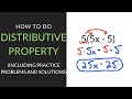 Distributive Property and Operations