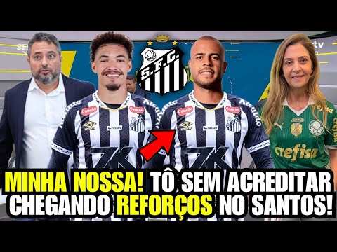 image para ilustrar o artigo