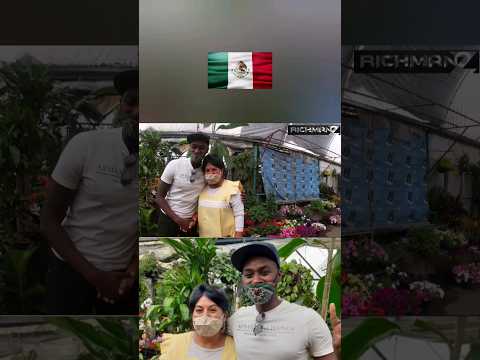 Cuemanco Market, CDMX Mexico (2) 🇲🇽 #mexicocity #flowersgarden #cdmx