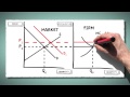 Understanding Perfectly Competitive Markets