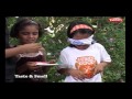 Taste and Smell Experiment Analysis