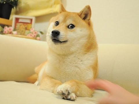 밤 코딩