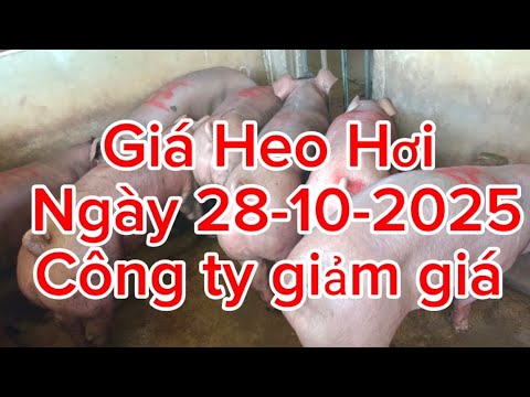Công ty giảm giá