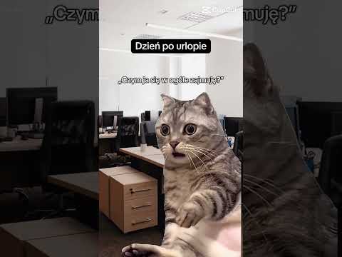 Też tak macie po urlopie?