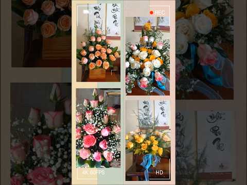 bổng thấy yêu đời quá