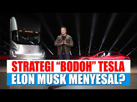 Strategi "Bodoh" Tesla yang Merubah Ekosistem Kendaraan Listrik Dunia