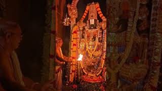 thandri balaji🌺#balaji#ytshorts#god#tirupati#yt#trending#viral#shorts#youtubeshorts#youtube#ytviral