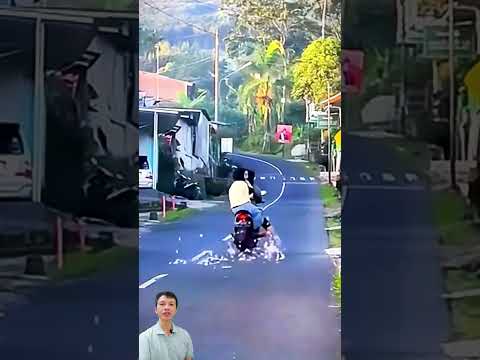 Gà qua đường thiếu quan sát - Chickens passing by lack of observation #shorts