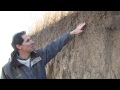 Soil Horizons and Taxonomy Concepts