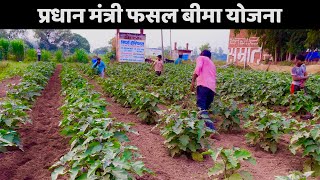 Pradhan Mantri Fasal Bima Yojna - A Scheme by Government for Farmers