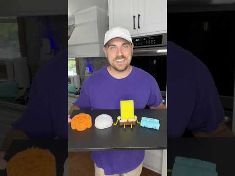 Real or Sponge? #shorts #realorfake
