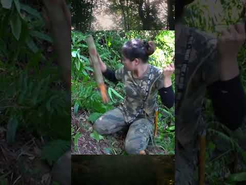 Living in forest #wood #bushcraft #shelter #building #primitive #woodworking #diy #design #viral