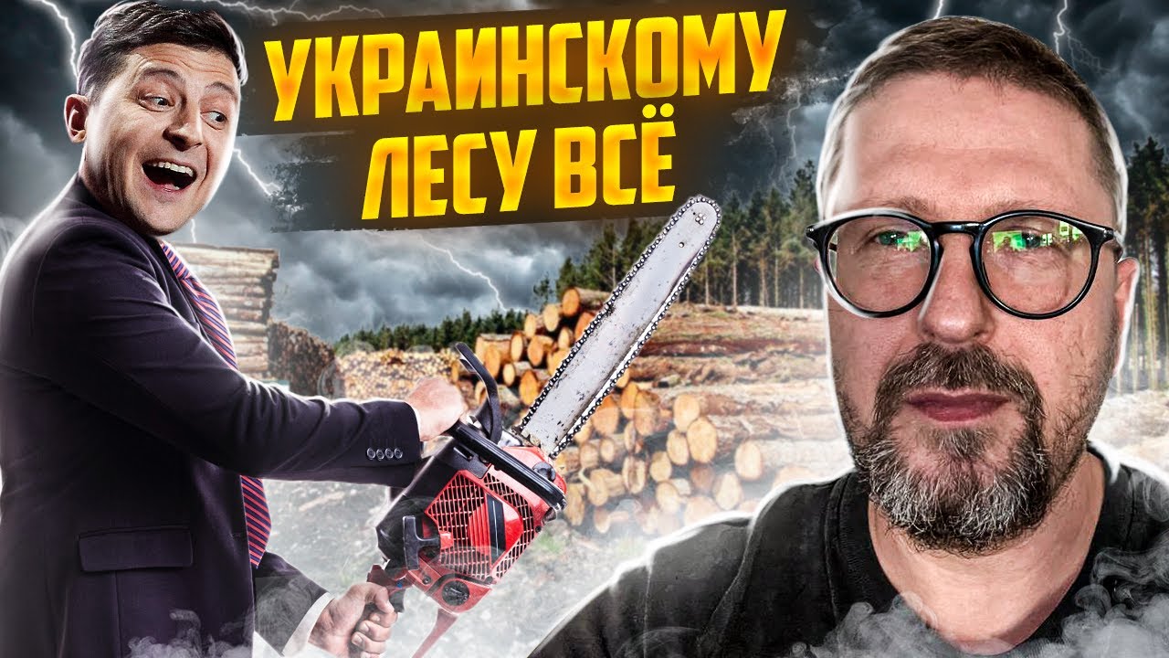 Зеленский побеждает украинский лес?