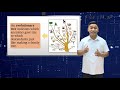 Classification of Organisms and Evolutionary Relationships