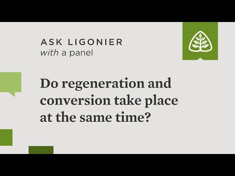 Do regeneration and conversion take place at the same time?