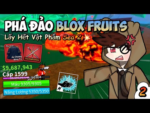 HB Lox Fruits Hành Trình Phá Đảo Blox Fruits Trở Thành Vua Hải Tặc Phần 2