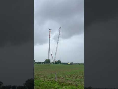 What is🤔 #viral #gujarat #trending #shorts_video