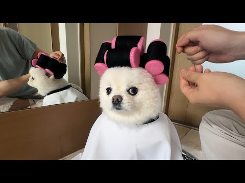 💈손님 파마는 추가비용 발생하시는점 참고해주세요^^