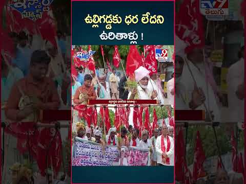iSmart News : ఉల్లిగడ్డకు ధర లేదని  ఉరితాళ్లు !  | Onion Rates - TV9