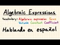 Exploring Spanish Algebraic Expressions in 6th Grade Math