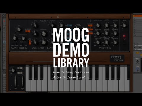 Minimoog Model D for macOS | Ableton Intro