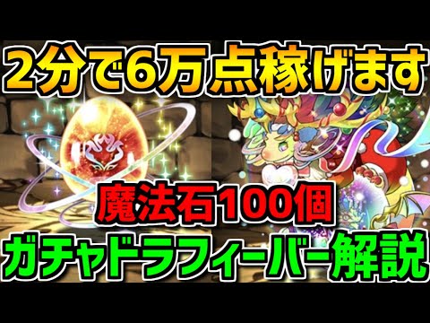 ガチャドラフィーバー立ち回り解説！激ウマ報酬を絶対にゲットしよう！やらなきゃ損！【パズドラ】