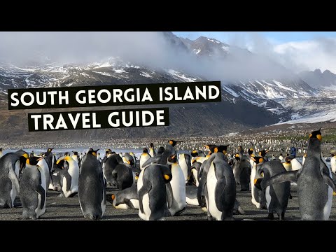 SOUTH GEORGIA ISLAND Travel Guide | Cruises and Everything you need to know
