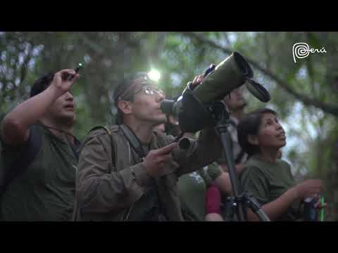 11  Peru, host a universe of birds v2023 en