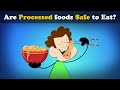 Health Risks and Characteristics of Ultra-Processed Foods
