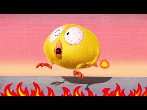 Hot, hot, hot! | Where's Chicky? | Cartoon Collection in English for Kids | New episodes