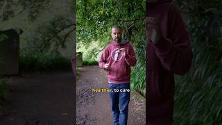 What you'll feel after visiting Madeira | Meet the Drivers #shorts