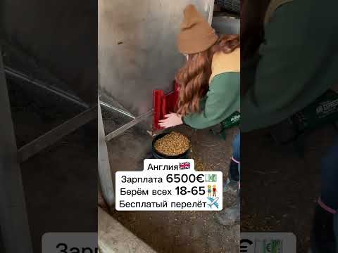 ‼️ПИШИТЕ +++ В КОММЕНТАРИЯХ #вакансия