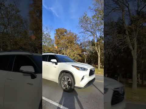 Throwing very Sus items at speeding cars until they slow down