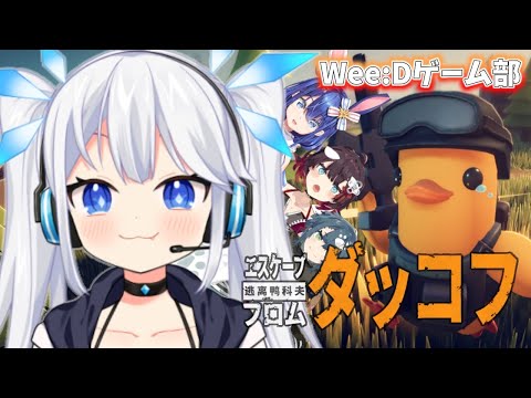 【 Escape From Duckov 】今一番熱いアヒルたちの並走が…来る！　#WeeDゲーム部【 ツイリエル / 悠織こまき / 酒輪おん / 鯱家るか 】